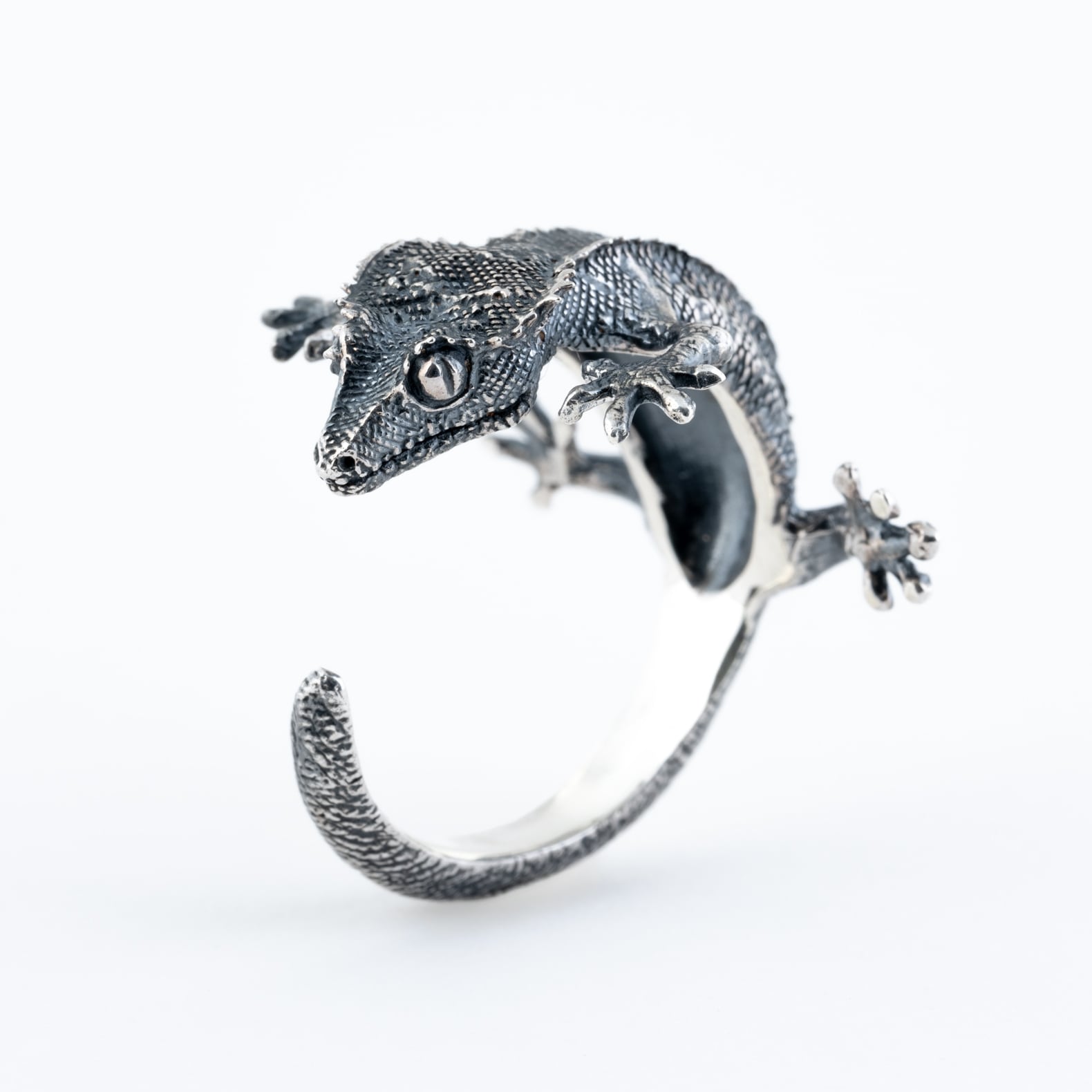 クレステッドゲッコーベビーリング