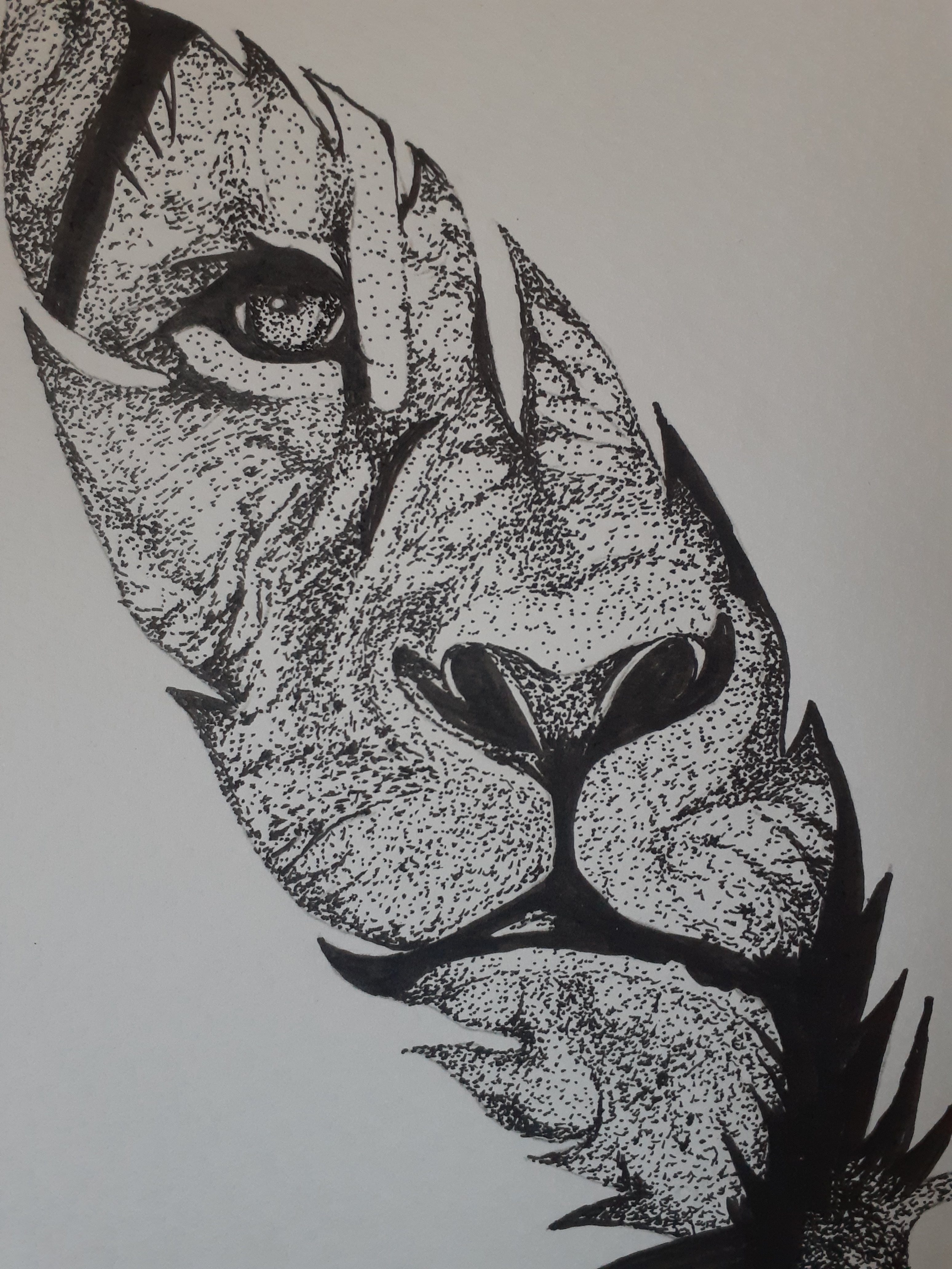 d33ac0e83a670b53a2fc34bd6a3948