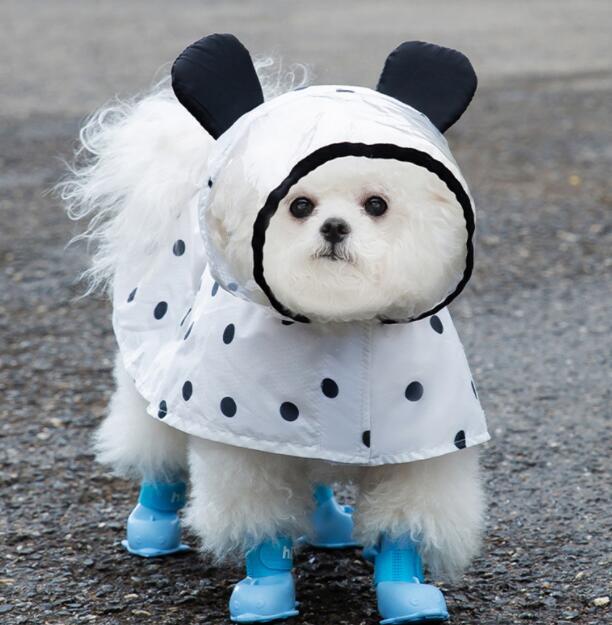 《予約》2101085 水玉まんまるモノクロレインコート