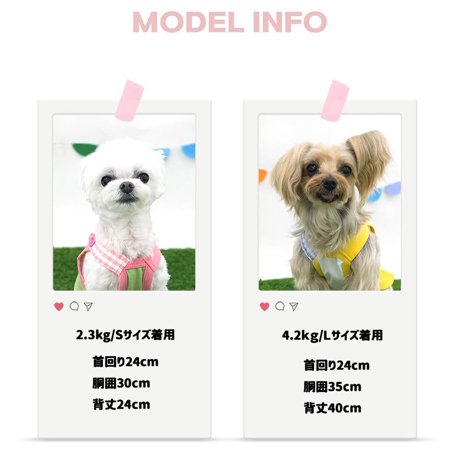 【予約商品5％OFF】pleats crop onepiece S ~ XL 2color  /  犬服 春夏 新作 可愛い 犬の服 ワンピース ショート丈 袖なし crop top お揃い ドッグウェア 涼しい ストレッチ シンプル