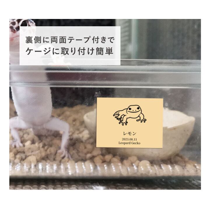 ゲージ・水槽用ネームプレート ☆ネプチューンオオカブトのイラスト