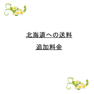 北海道への送料追加料金