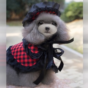 ★かわいい犬服ワンピ／ドレス　　チェック帽子＆ボレロ