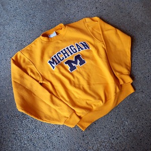 Champion カレッジ刺繍 スウェット used [204010]