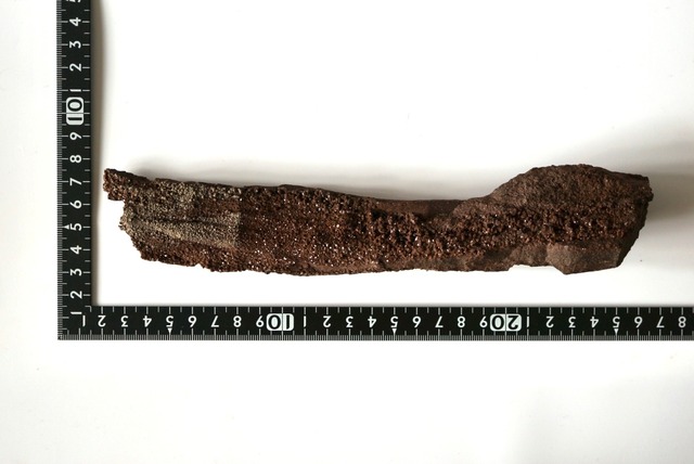 特大ドイツ産ドゥルージーペトリファイドウッド 242mm　Petrified Wood / Quartz　1173