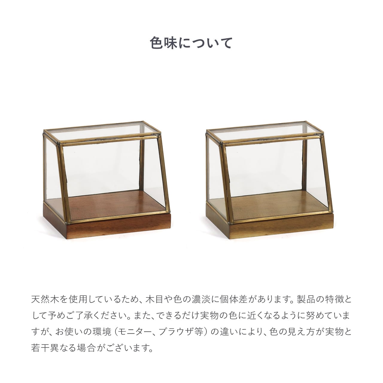 alten ブラスショーケース（S） | Zakka so-la