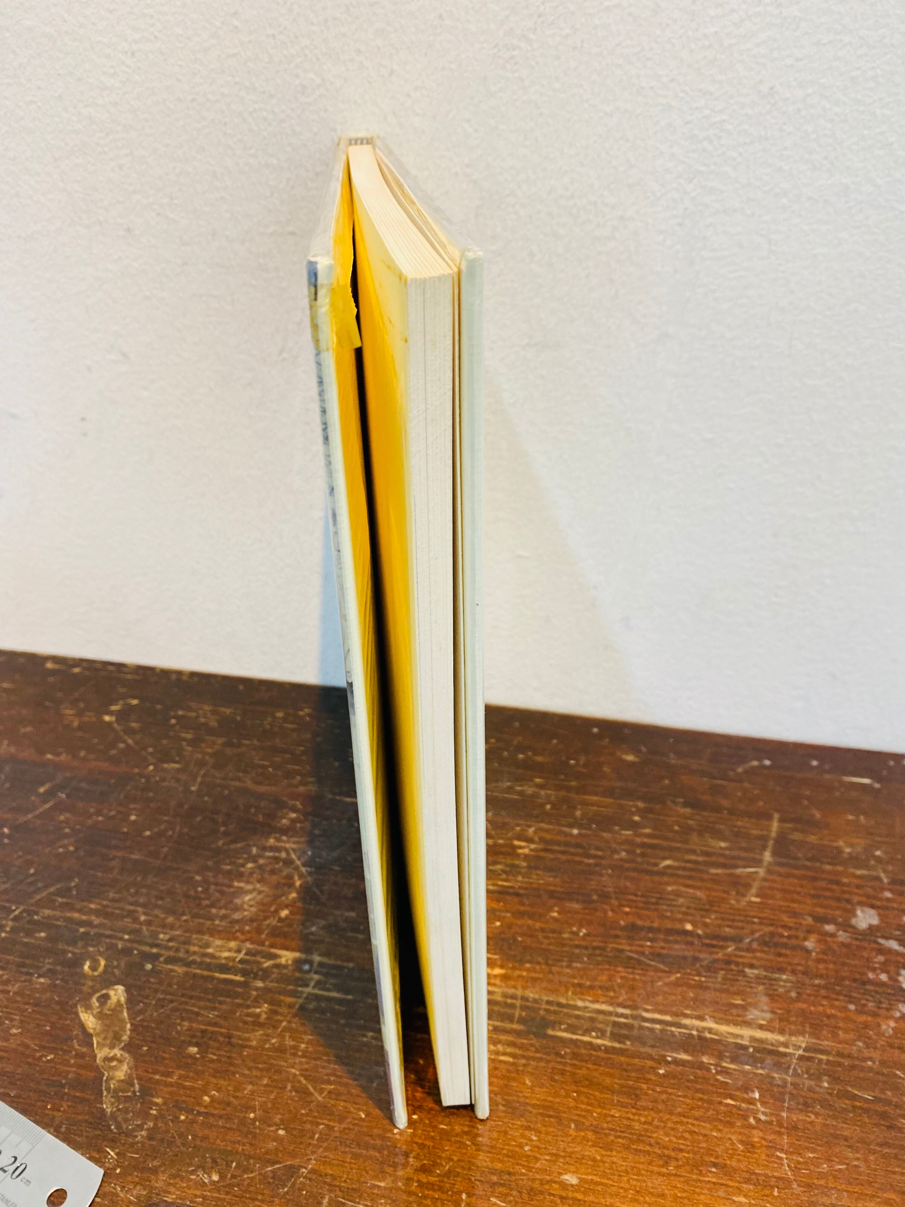 PICASSO The Late Drawings | zbooks