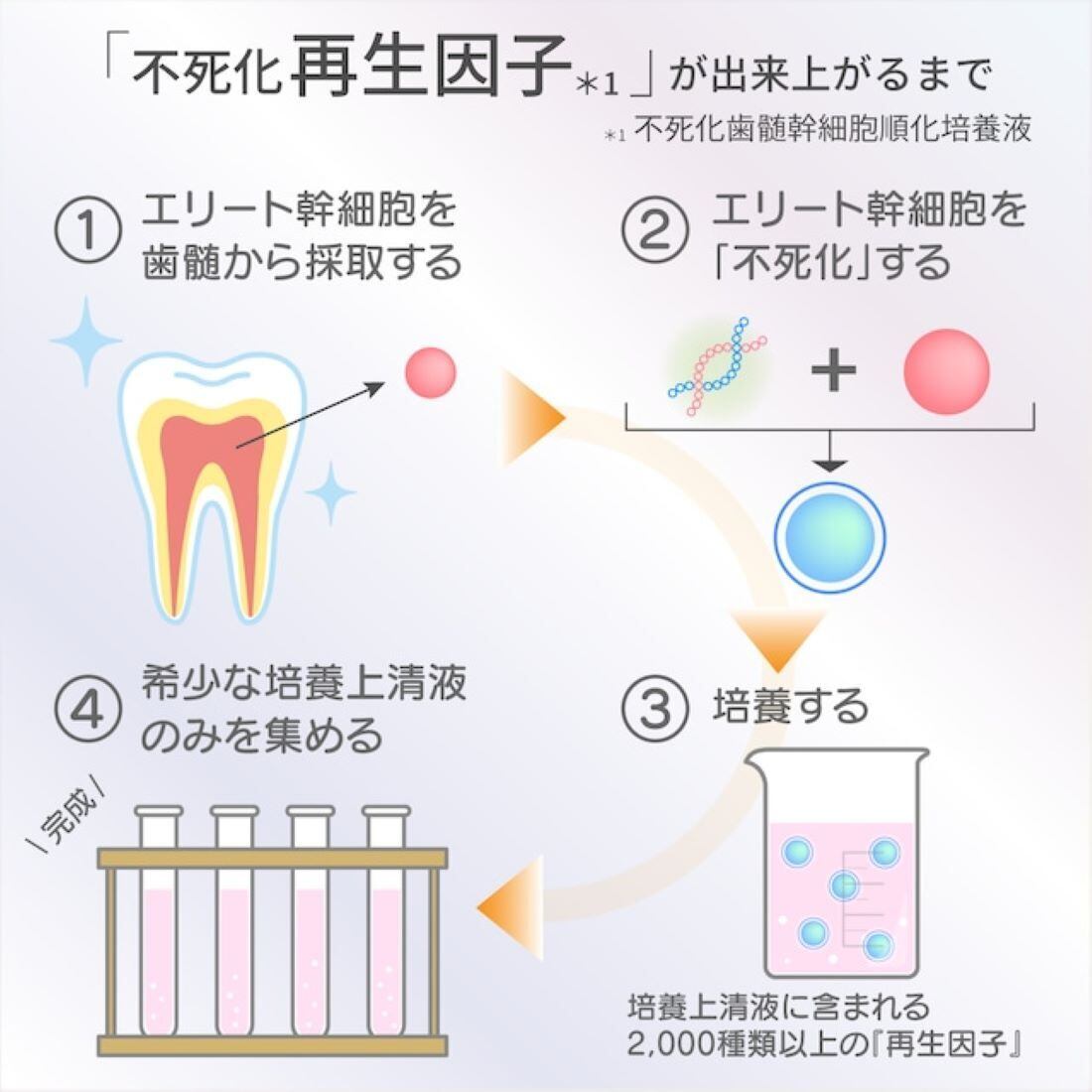 リジェニティ FKクリーム お肌の修復力と再生力を呼び覚まし、加齢