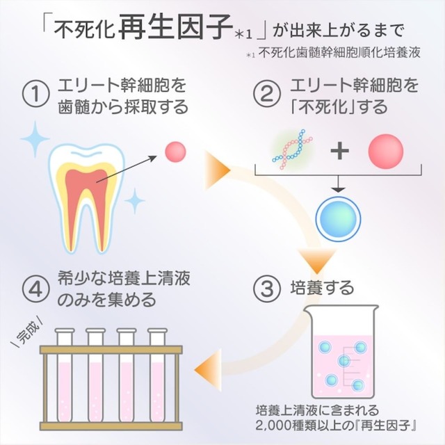 リジェニティ FKクリーム　お肌の修復力と再生力を呼び覚まし、加齢によるシミ・シワ・たるみの改善を目指します