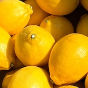 【おまかせ淡路島レモン5KG】発送中