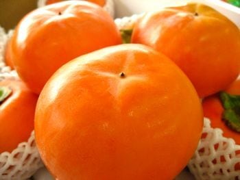 ~献上柿としても有名な~会津みしらず柿 小箱(3L)9個入り