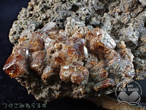 ヘソナイト・ガーネット 灰礬柘榴石 チェコ TM-069