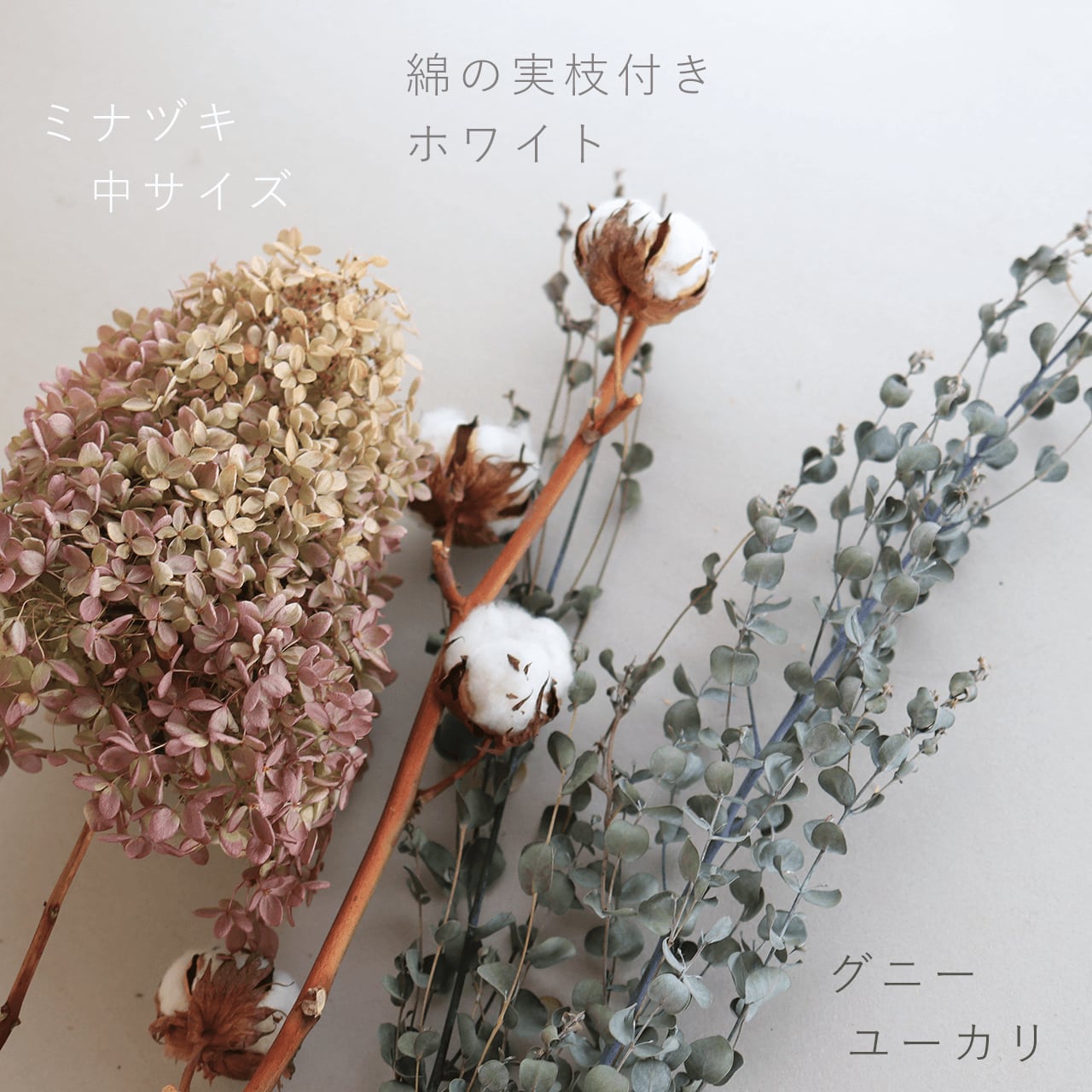 アジサイ ミナヅキ枝付き 中サイズ / あじさい アジサイ アジサイ ミナヅキ枝付き 中サイズ / あじさい アジサイ