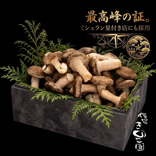極上800g 】長生き椎茸 | 佐倉きのこ園ネットショップ