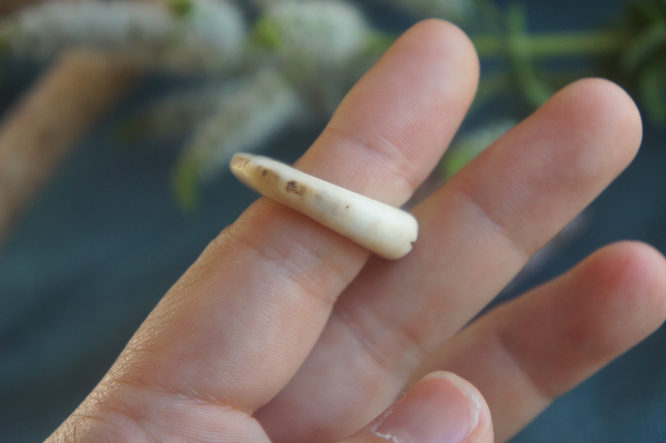 鹿角彫刻「月と星のリング」【サイズ指定受注制作】 | deer bone 