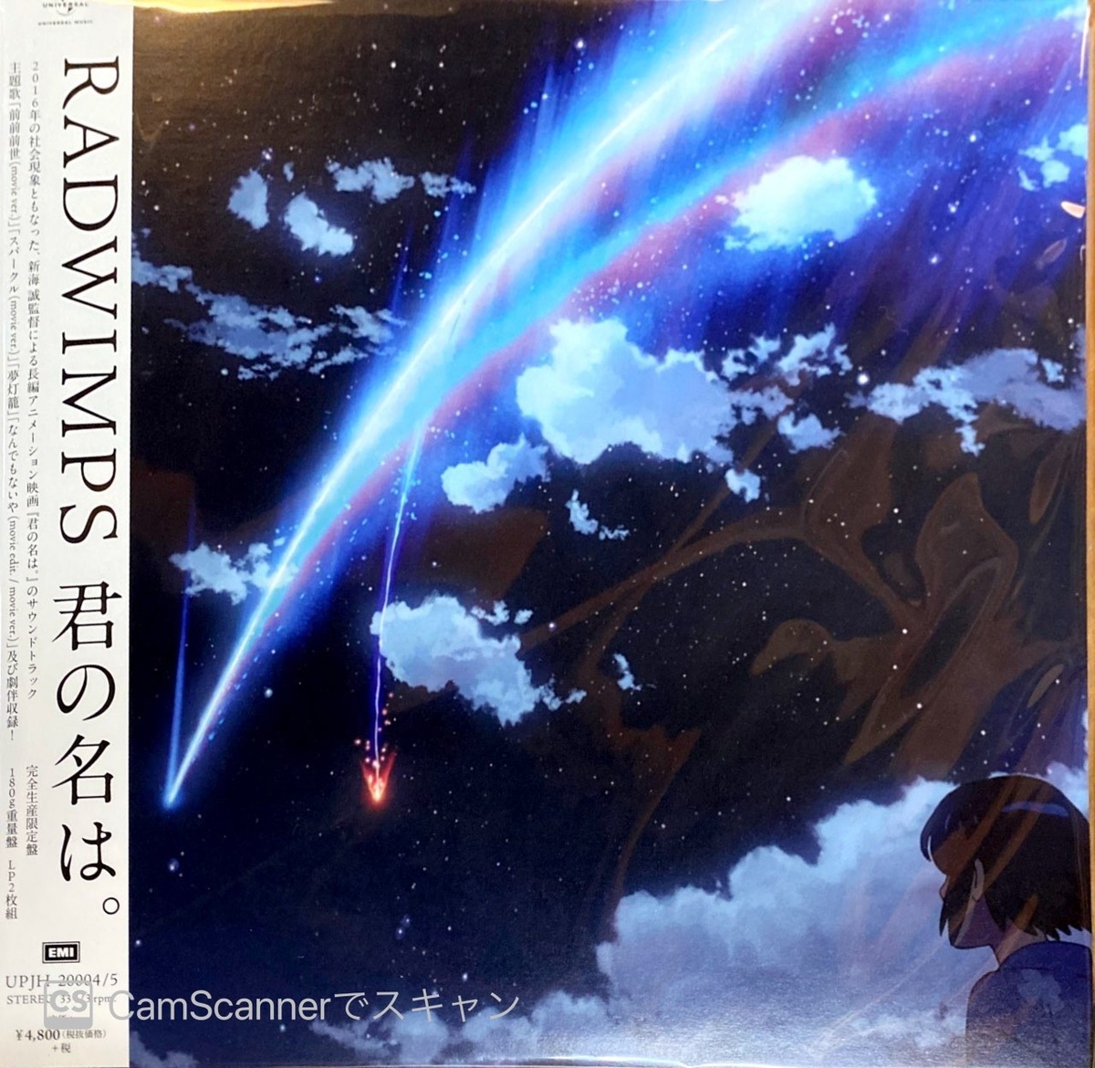 完全受注生産限定】RADWIMPS「君の名は。」アナログ盤（12インチ 