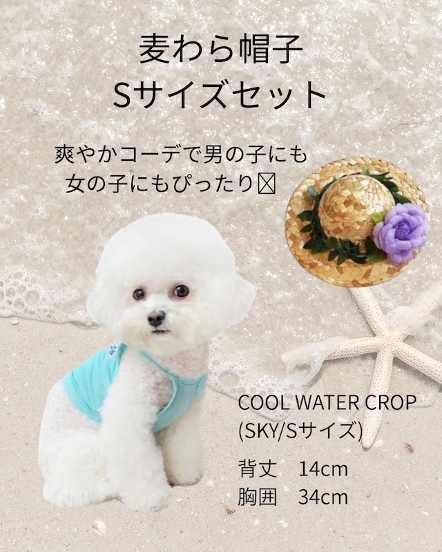 即納【THEREST OF LIFE】COOL WATER CROP (SKY/Sサイズ)