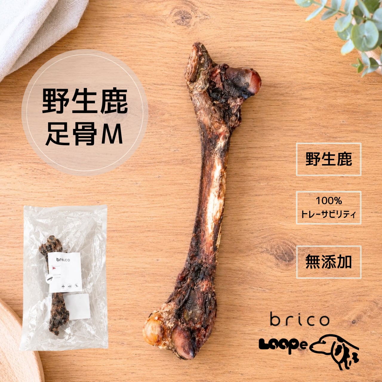 LOOPe(ループ) 足骨 Mサイズ
