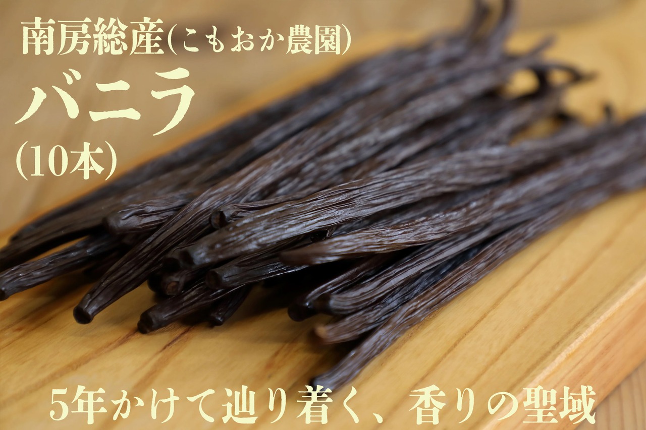 南房総産バニラビーンズ10本 送料込み<こもおか農園>
