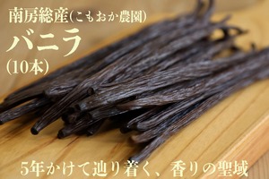 南房総産バニラビーンズ10本 送料込み<こもおか農園>