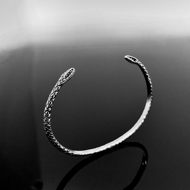 TWO HEADED SNAKE BANGLE / スネークバングル