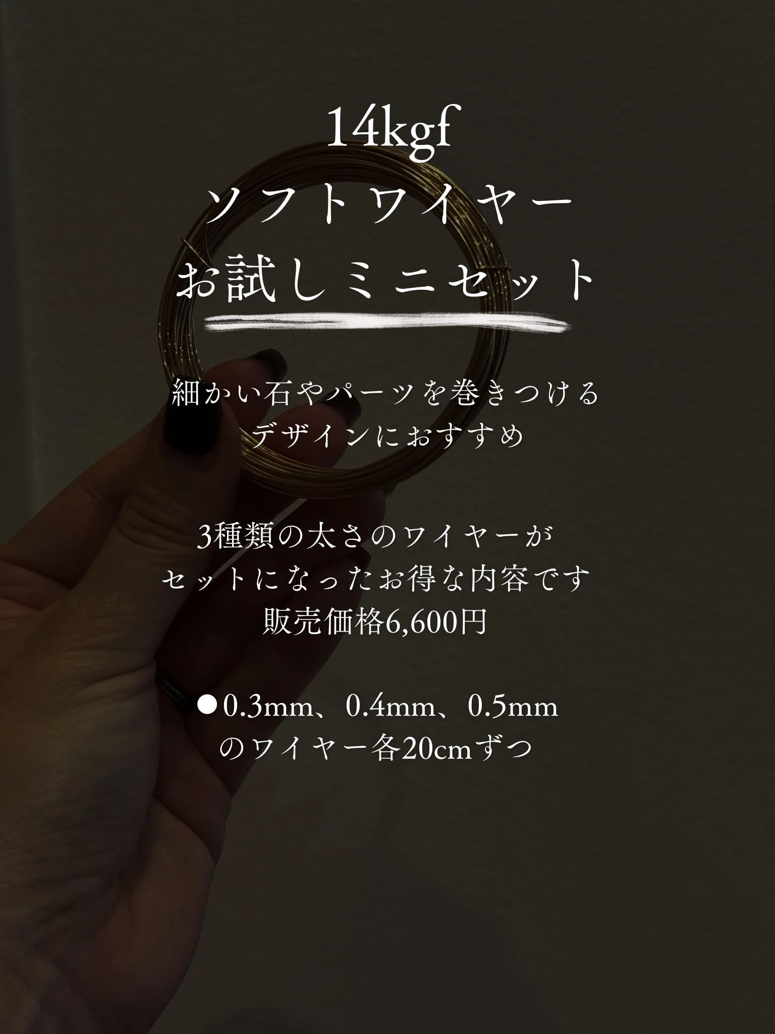 14kgfソフトワイヤーお試しミニセット