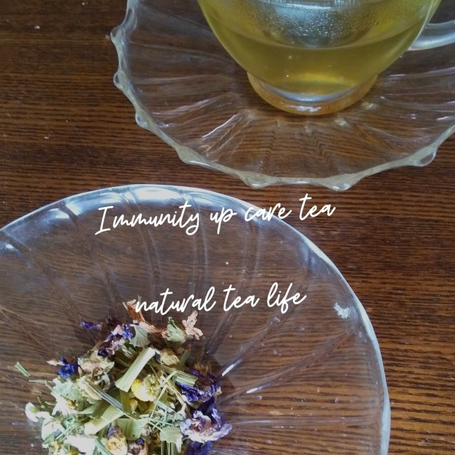 免疫力UPに「Immunity up care tea」Sサイズ