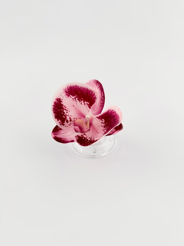 Mini 014
