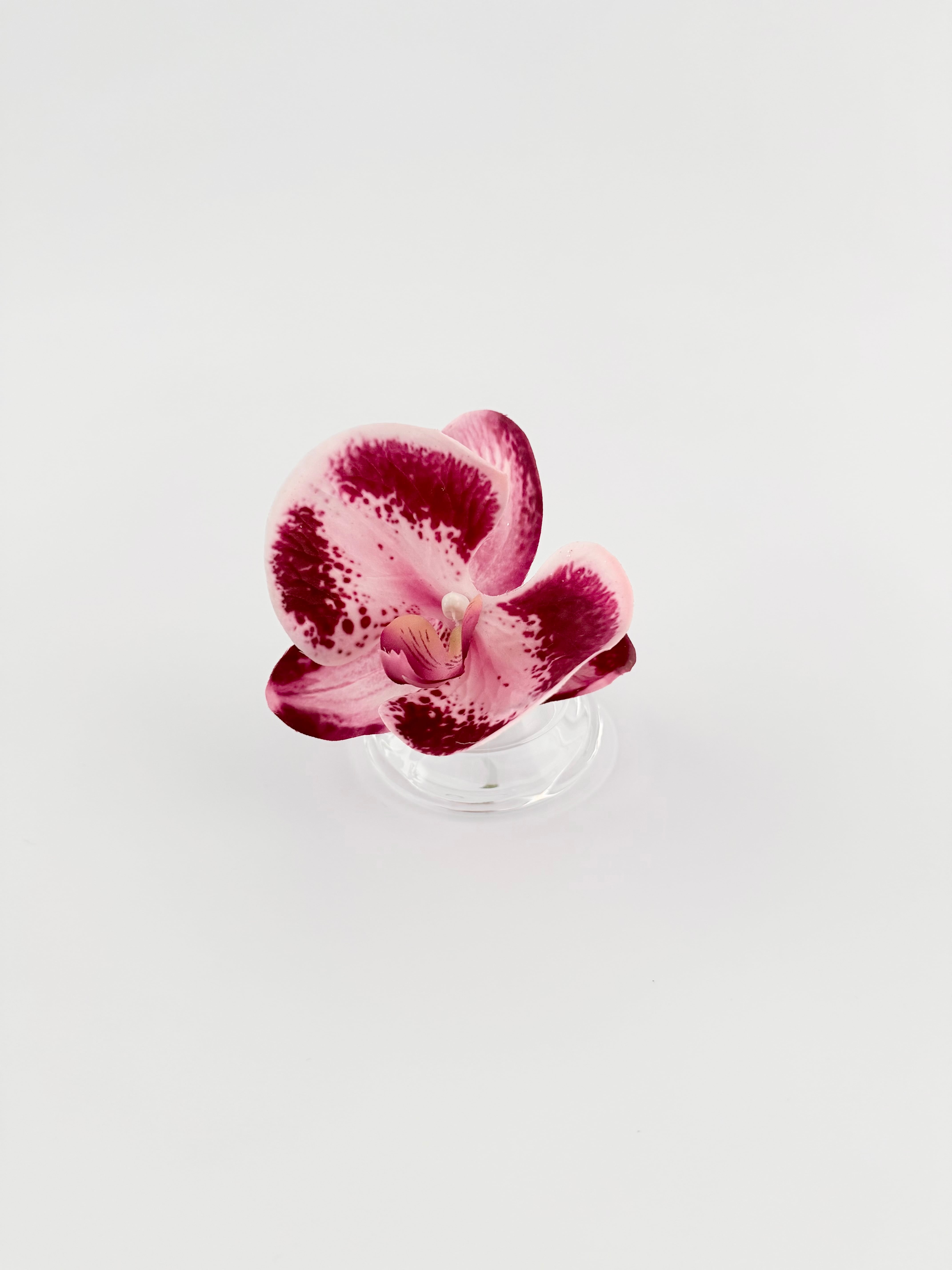 Mini 014