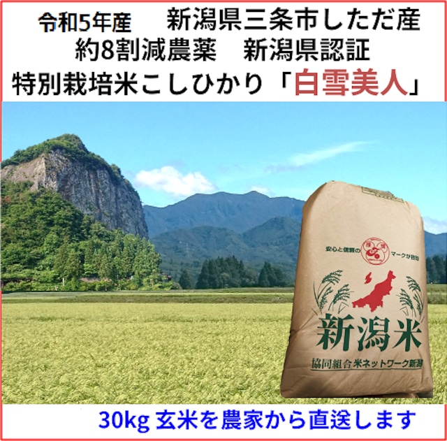 令和5年産新米 減農薬 新潟こしひかり玄米30kg 新潟県三条市旧しただ村 ...