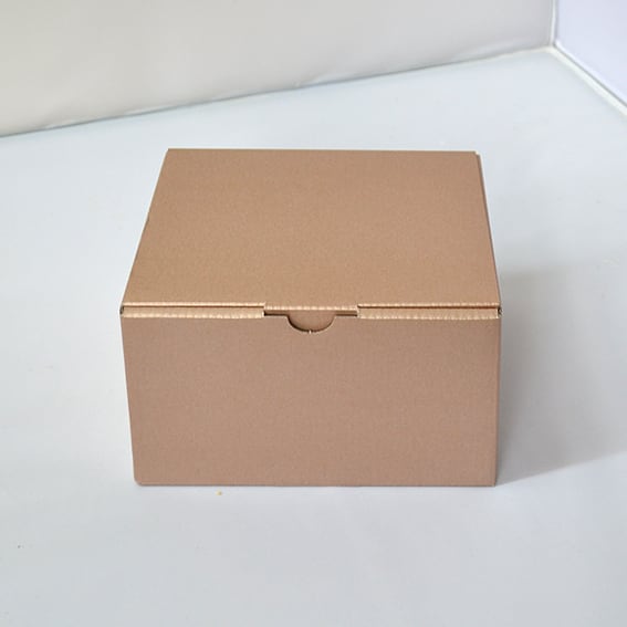 Kicoroパック Family set6 | Kicoroの森 official shop