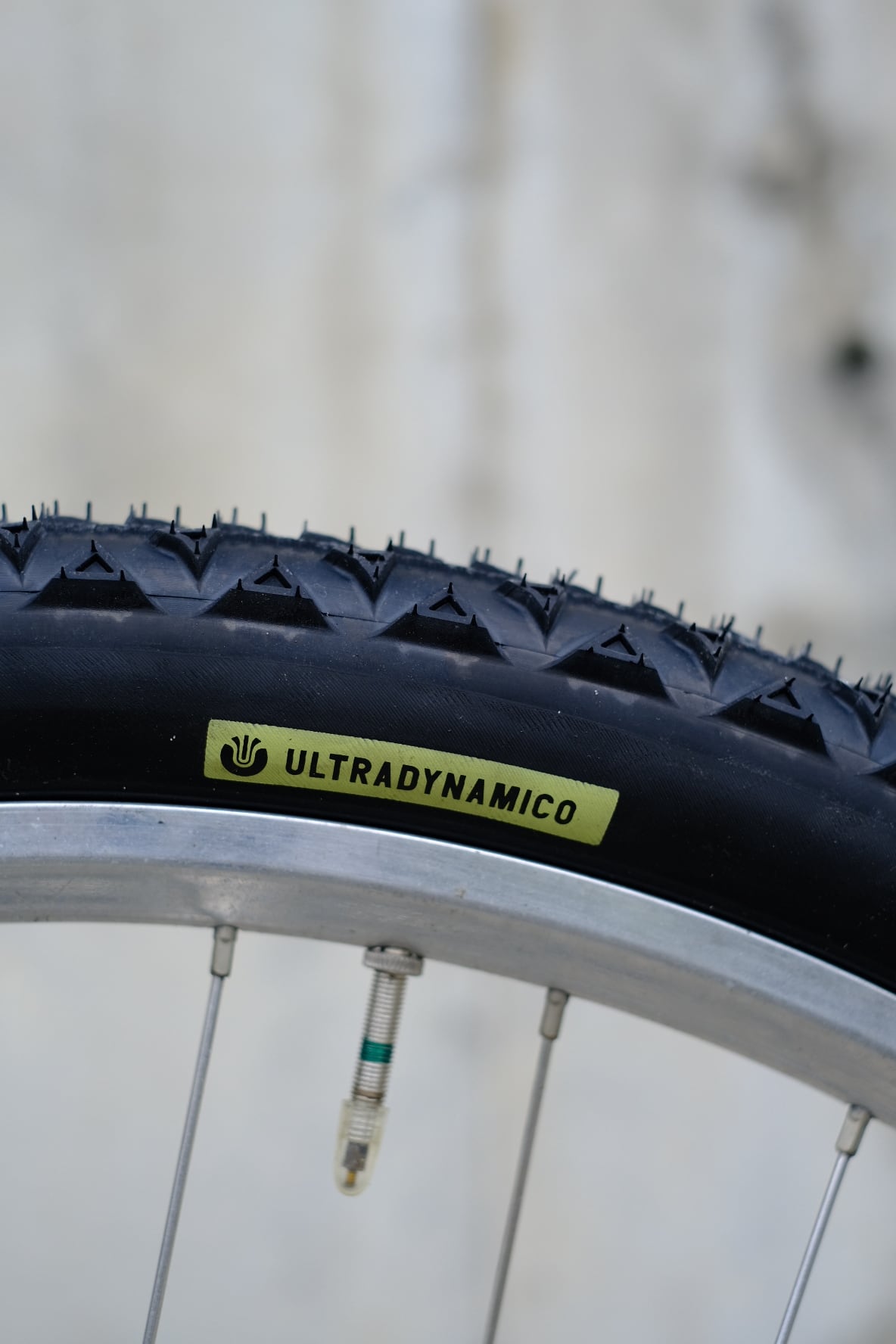 ULTRADYNAMICO】ROSE JFF TIRE (BK) | Humhumhug Online Shop