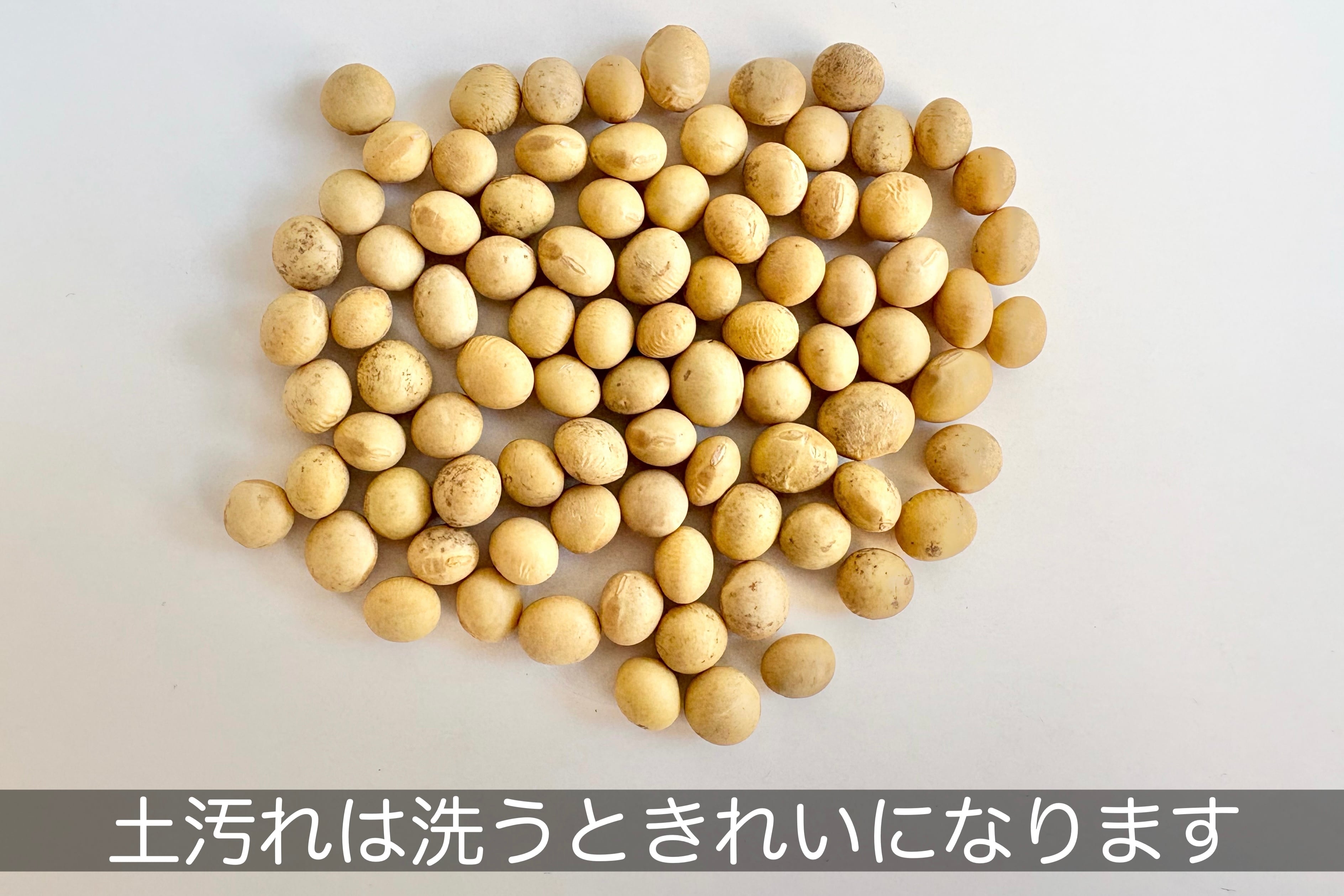 手作り味噌セット 仕上がり量 約5kg ※容器は別途ご用意ください | 麹と