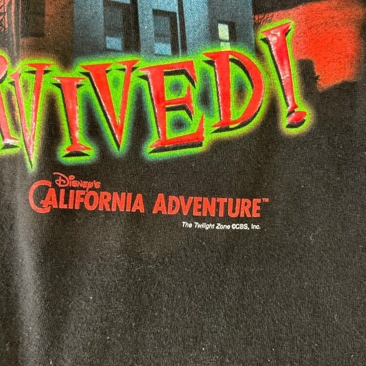 90s- ディズニー タワーオブテラー 半袖Tシャツ プリント M 古着 古着