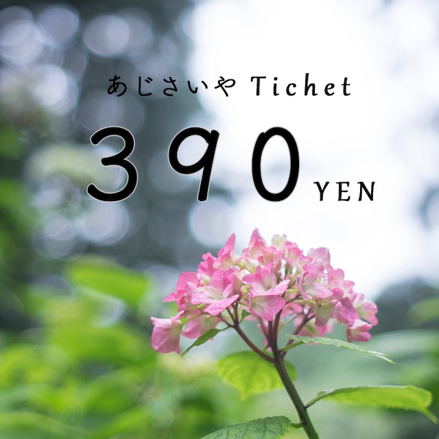 390円チケット