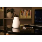 Formosa Japan アロマディフューザー リラックス  超音波加湿器 暖色LED