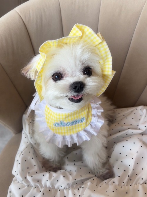 【名入れ刺繍スタイとお揃い】パステルギンガムフリル帽子