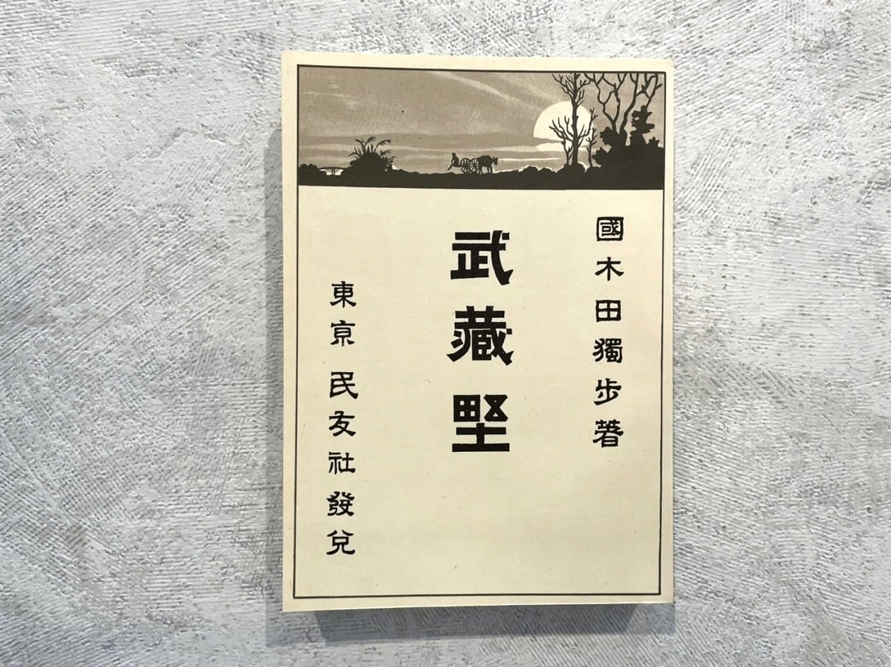 【HP015】武蔵野 / second-hand book