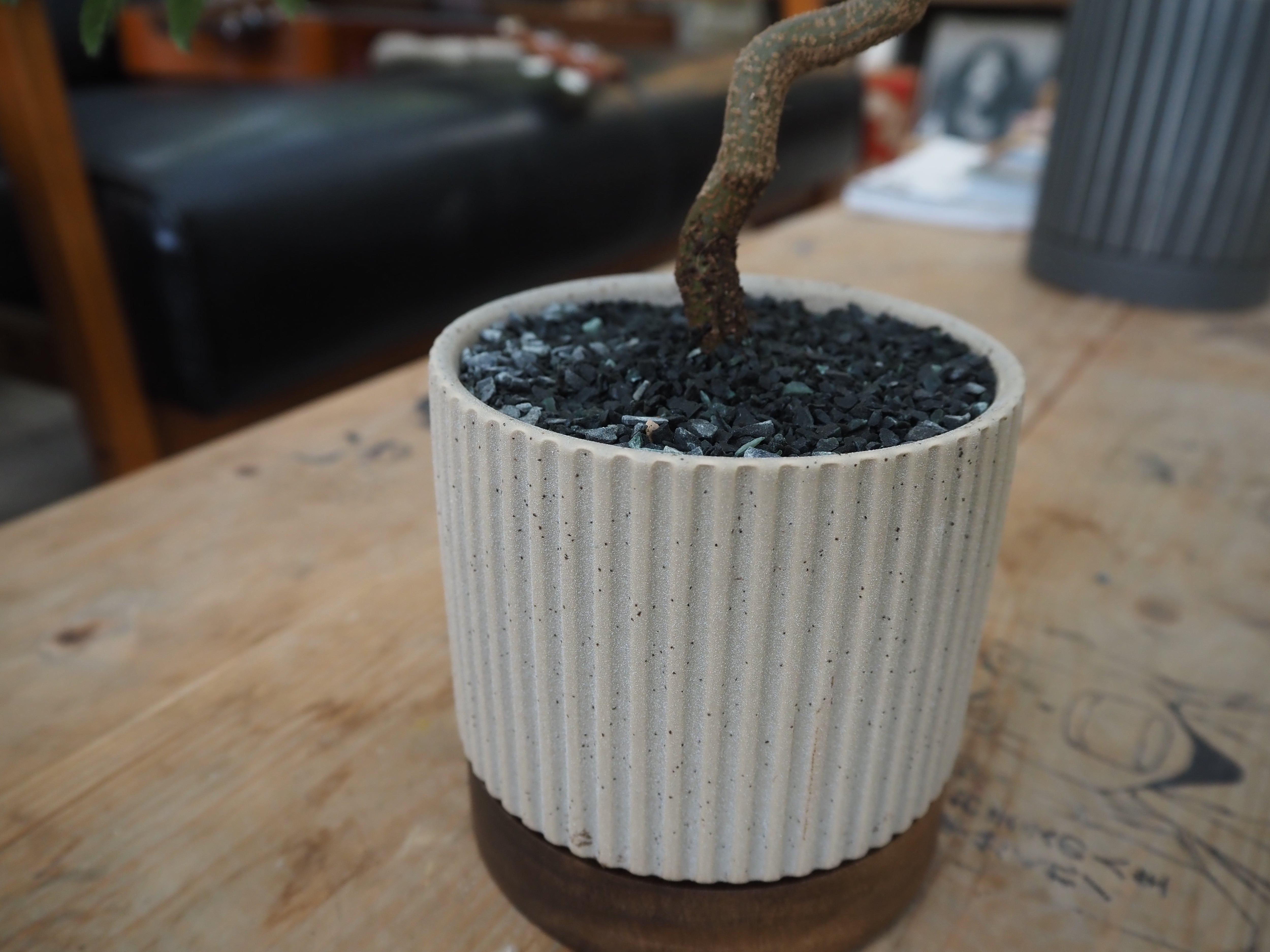 3色展開】【現品】盆栽風エバーフレッシュ 鉢セット【陶器鉢】 | 高橋園芸