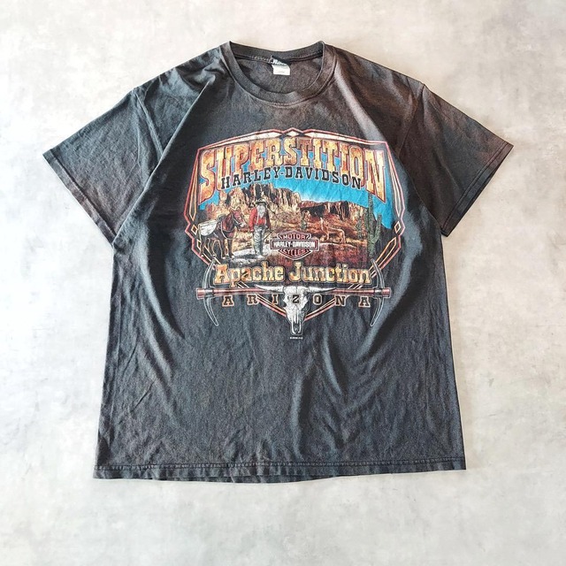 ハーレーダビッドソン ヘインズ　プリントTシャツ 00s L 黒 14845