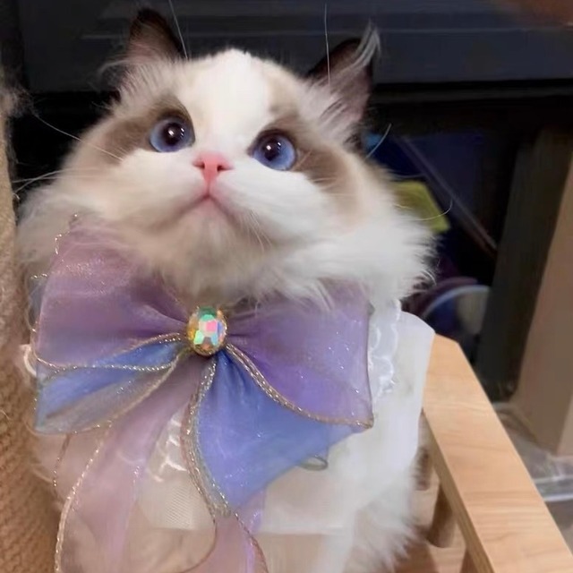 マーメイドリボンエプロン 猫 付け襟 すたい 猫グッズ