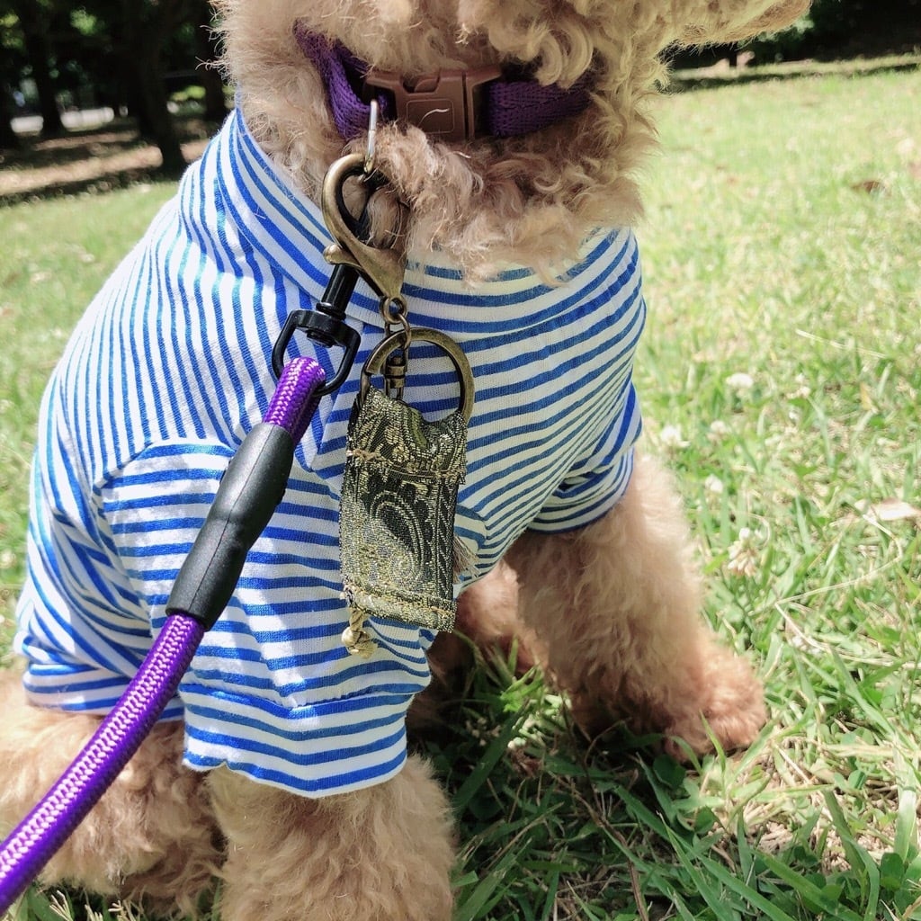 NORADOGリード.ハーネス.首輪3点セット NORADOGリード.ハーネス.首輪3点セット