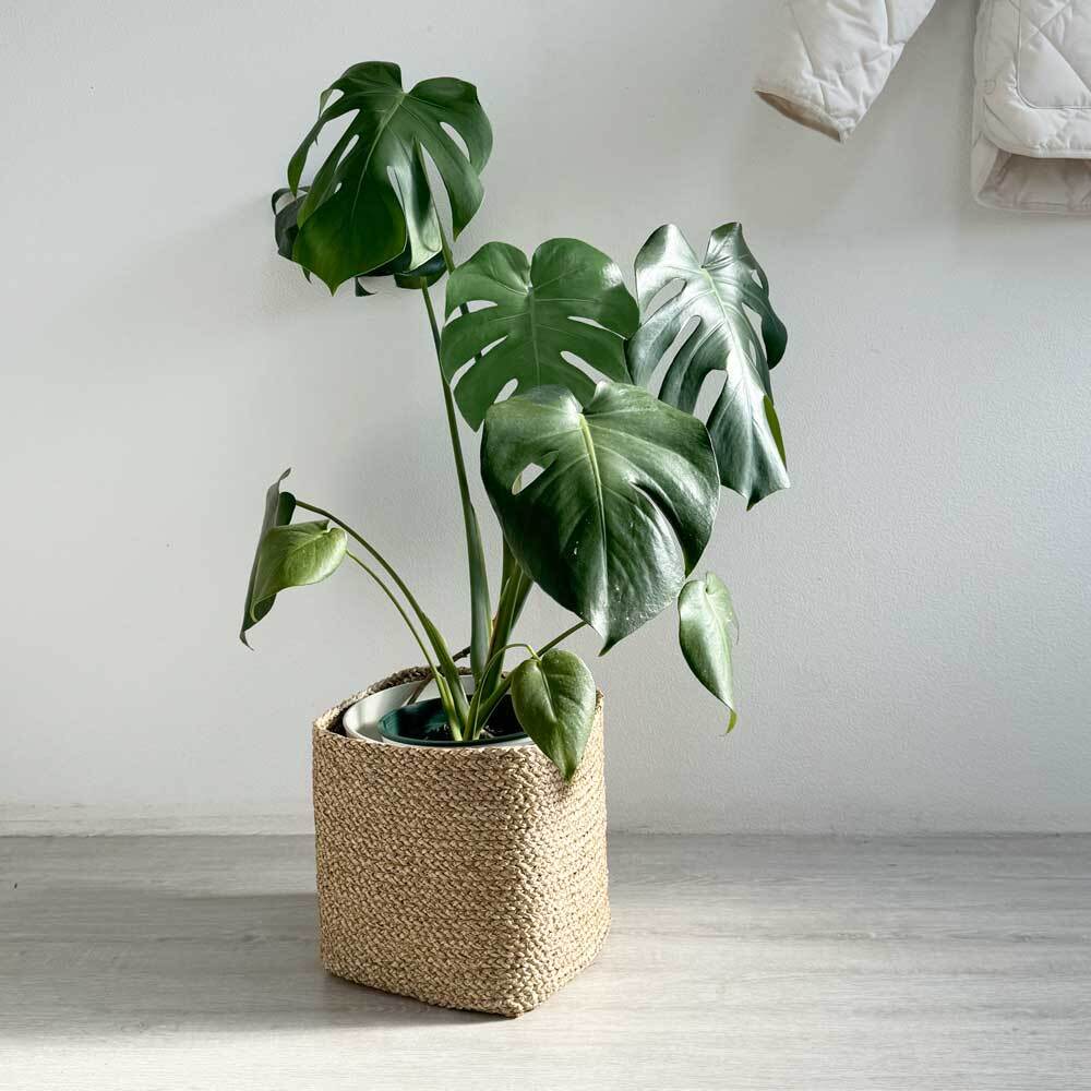 シーグラス プランターバスケット 7号鉢用(SC-594)