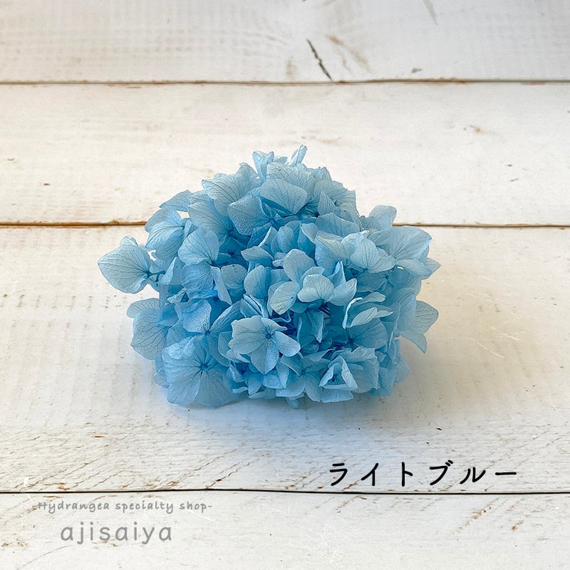 ❀ときとき様専用ページです❀プリザ アジサイ 量り売り 1g185円 