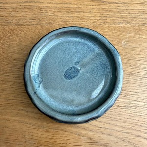 シンゴニウム・ミルクコンフェッティ