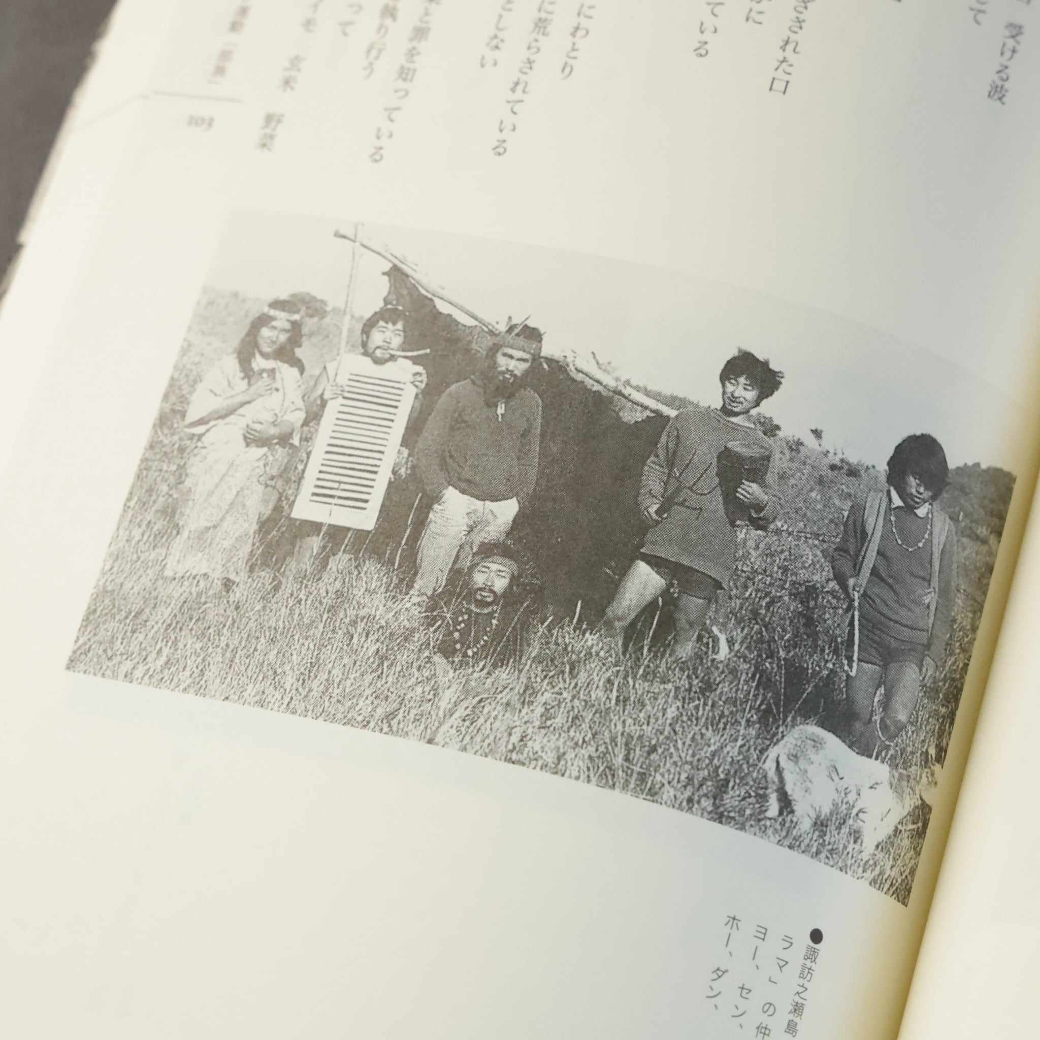 アイ・アム・ヒッピー 日本のヒッピー・ムーブメント史'60ー'90（増補