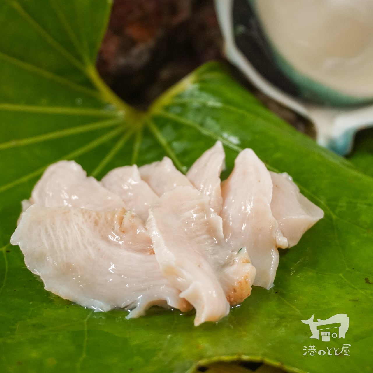 夜光貝　少し大きめ 夜光貝 貝殻XLサイズ | 【夜光貝 貝殻販売】ゲン担ぎの島-徳之島産-