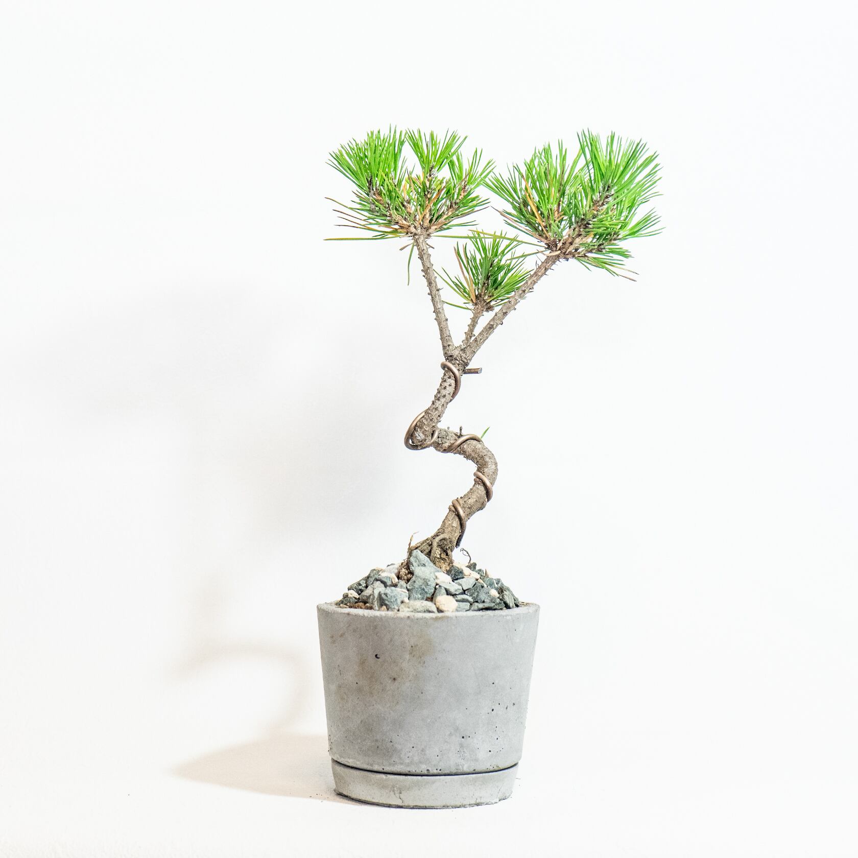 セメント製 盆栽スタンド(A)木の幹デザイン 高さ(約)42cm 盆栽台 セメント製 盆栽スタンド(B)木の幹デザイン 高さ(約)42cm 盆栽台 盆栽