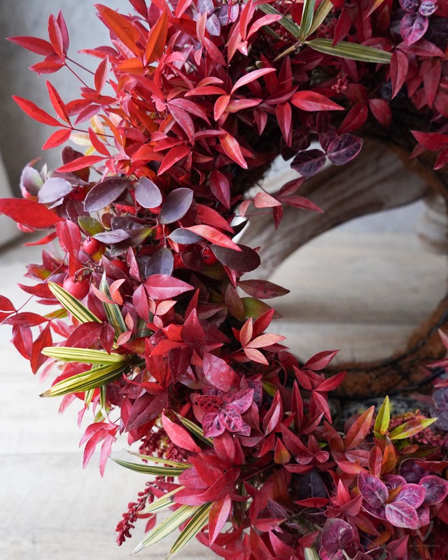 【植え込み作品】南天のリース35cm（送料込み）