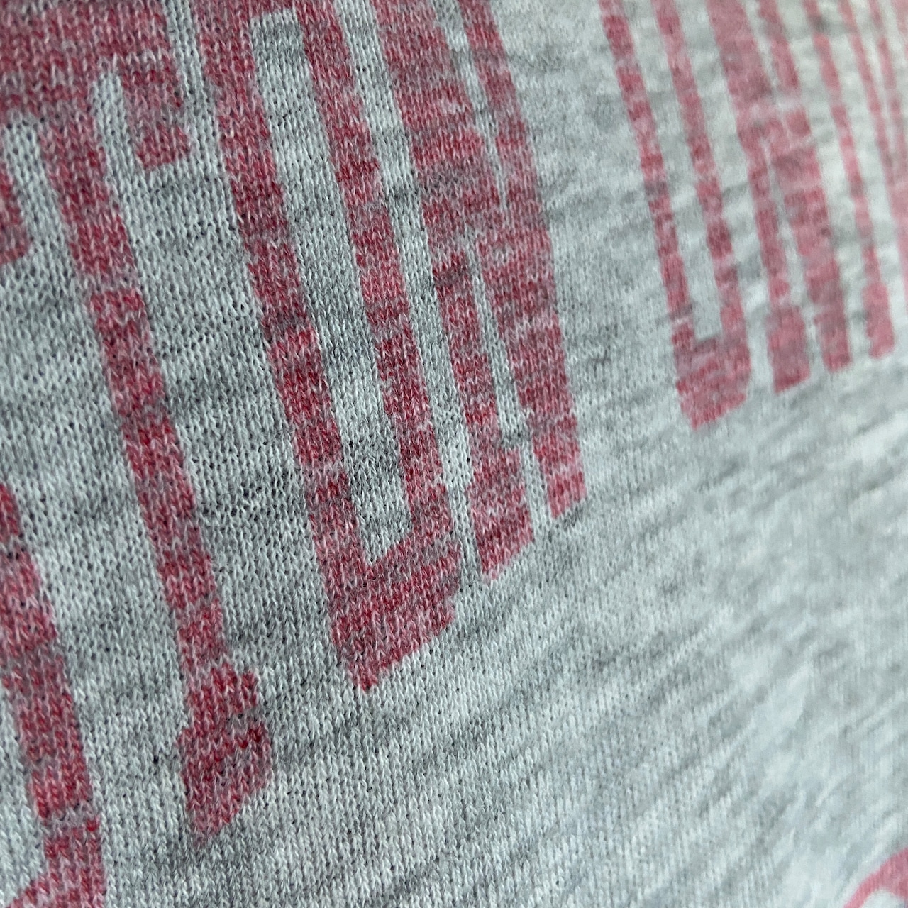 USA製 80年代 青刺繍タグ前期 Champion チャンピオン 3段 カレッジロゴ 